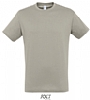 Camiseta Regent Sols - Color Gris Claro